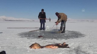 Bitlis'te yüzeyi buz kaplanan Nazik Gölü'nde balık avı