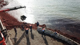 Caddebostan Sahili'ni kırmızıya bürüyen yosunlar temizleniyor