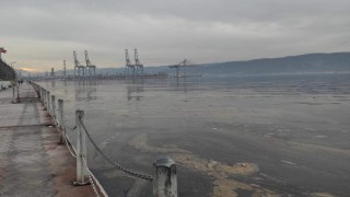 Gemilerden sızdığı tahmin edilen kimyasallar İzmit Körfezi’nde kirliliğe neden oldu