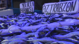 Karadeniz’den 16 ülkeye hamsi ihraç edildi