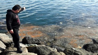 Marmara Denizi'ndeki deniz salyası balıkçıları vurdu