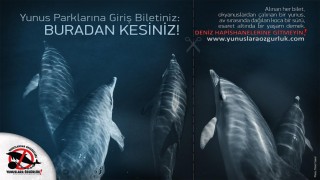 Yunuslara ve diğer hayvanlara işkencenin peşindeler