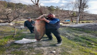 Baraj gölünde 47 kiloluk yayın balığı yakaladı