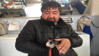 Bitkin bulduğu karabatağı leğende yüzdürdü