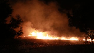 Burdur Gölü'ndeki sazlık yangınlarıyla ilgili suç duyurusu