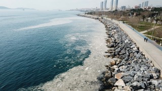 Pendik ve Kartal sahilindeki 'kirliliğin" sırrı çözüldü