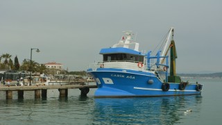 Av sezonu Güney Marmara'da balıkçıları üzdü, Kuzey Ege'de yüzleri güldürdü