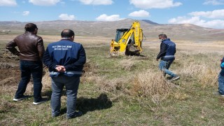 İnci kefali göçü sırasında ölümlere karşı su kanallarına boru döşendi