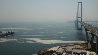 İzmit Körfezi'nde deniz salyası yeniden ortaya çıktı