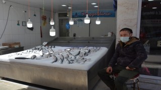 Sinop'ta tezgahlarda av balıklarının yerini havuz balıkları aldı