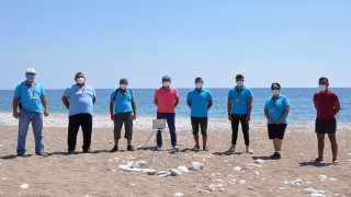 Çıralı'da caretta carettalardan ilk yuva