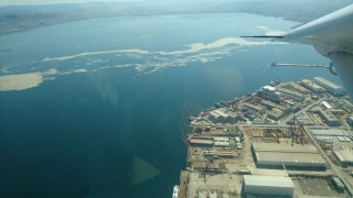 Deniz salyalarının toplandığı İzmit Körfezi, eski aline dönüyor