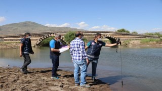 Gönüllüler, üremek için Van Gölü'nden tatlı sulara göç eden inci kefalleri için nöbet tutuyor