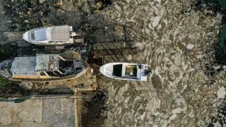 Marmara'da oluşan deniz salyası balık popülasyonunu tehdit ediyor