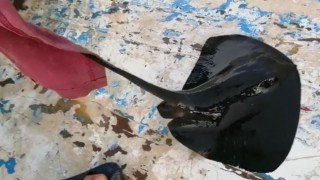 Nesli tehlike altındaki mor vatoz, oltaya takıldı