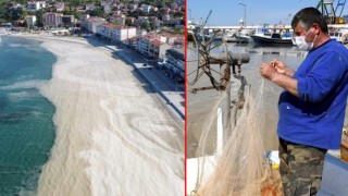 Tekirdağ'da devam eden deniz salyası nedeniyle balık fiyatları düşmüyor
