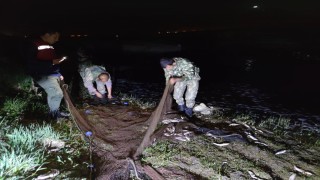 Van'da 3 ton 300 kilo inci kefali avına 69 bin lira ceza