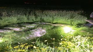 Van'da, kaçak 1 ton 200 kilo inci kefali avına 9 bin lira ceza