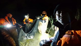 Van'da kaçak avlanan 15 ton 'canlı balık' tekrar suya bırakıldı 