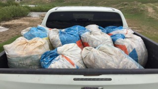 Van'da kaçak avlanan 1,5 ton inci kefali ele geçirildi