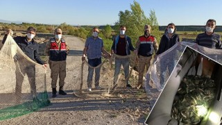 Van'da kaçak avlanılan 530 kilo inci kefali ele geçirildi