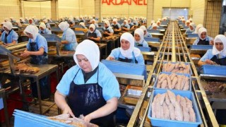 Dardanel, satın aldığı Yunanistan markası ile Avrupa'da elini güçlendirecek