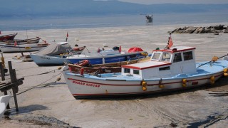 Körfezi kaplayan müsilaj, balık avının engeli
