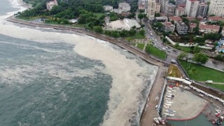 Marmara'daki müsilaj için oluşturulan bilim kurulunda görevli Prof. Dr. Salihoğlu, çalışmaları anlattı