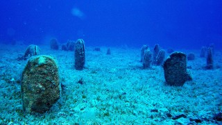 Türk Deniz Araştırmaları Vakfı yarın 'müsilaj' paneli düzenleyecek