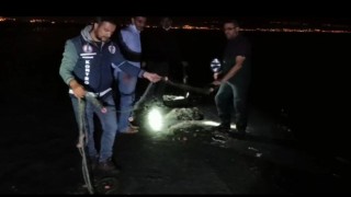 Van'da 5 ton 450 kilo kaçak inci kefali avına 16 bin 579 TL ceza