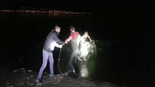 Van'da, kaçak avlanan 2 ton 350 kilo inci kefali ele geçirildi