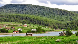 Ankara'daki Eğriova Yaylası yemyeşil doğası ve göletiyle misafirlerini cezbediyor