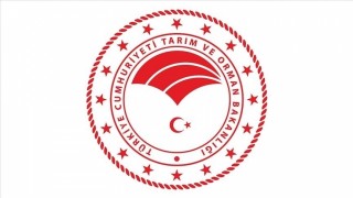 Av ve yaban hayvanlarının üretimi ve yetiştiriciliğini düzenleyen yönetmelikte değişiklik yapıldı