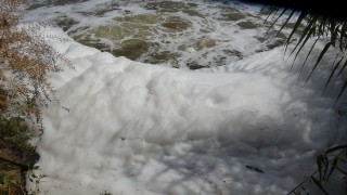 Çevrecilerden, Menderes için 'tehlike kapıda' uyarısı