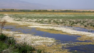 Eber Gölü pişmanlığı: Hiç bitmez, tükenmez sandık, o da canlıymış bilemedik