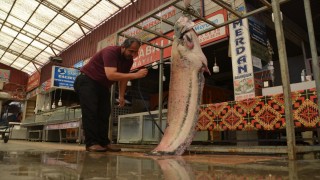 Kahramanmaraş'ta baraj göletinde 130 kilogramlık yayın balığı yakalandı