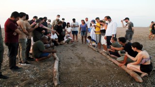 Manavgat sahilindeki ilk caretta caretta yavruları denize ulaştı
