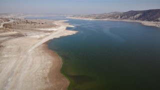 Porsuk Barajı'nda çoğalan istilacı balık tehlikesine karşı uyarı