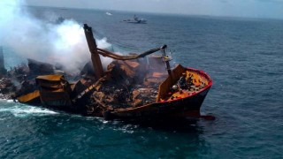 Sri Lanka'daki gemi yangını sebebiyle hayatını kaybeden deniz canlılarının sayısı artıyor