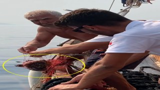 'Aksona Mehmet', hayalet ağa takılan orfozu kurtardı