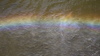 Asi Nehri'nde balık ölümleri görülmesi üzerine inceleme başlatıldı