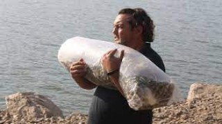 Balıkesir'de göl ve göletlere sazan yavrusu bırakıldı