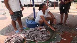 Dernek başkanı, plastik ve misina nedeniyle ölen caretta carettaya ağladı