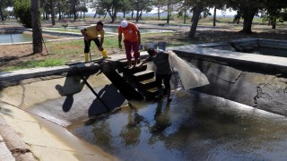 Edirne'de üretilen 5 milyon pullu sazan göletlerde yetiştirilmek üzere 13 ile gönderildi