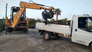 Fethiye'de 300 kilo ağırlığında ölü fok bulundu