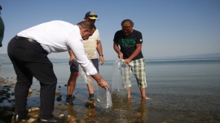 İznik Gölü'ne, 945 bin yavru sazan ve yayın balığı yavrusu bırakıldı