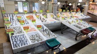 Akdeniz'de av yasağı sonrası balık fiyatlarının yüzde 50 düşmesi bekleniyor