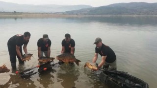 Bolu'daki ASOF Türkiye 2021 Sportif Sazan Balığı Tutma Yarışması sona erdi