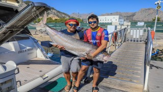 Baba- oğlu, oltayla 1.6 metrelik balık yakaladı