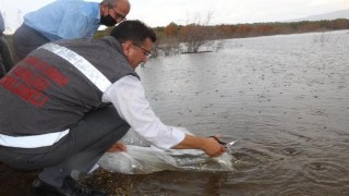 Kırklareli'nde 23 gölete 164 bin 459 balık yavrusu bırakıldı